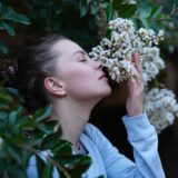Scent